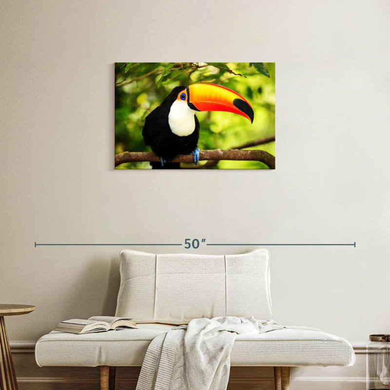 Brampt Toco Toucan, 20" H x 30" W