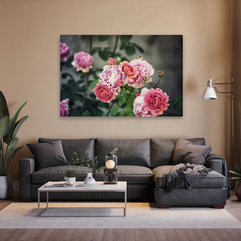 Plantes, fleurs, roses d'Ecosse III, art mural, H 40 po x l 60 po