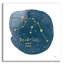 «Horoscope Aquarius» par Moira Hershey, art mural en verre acrylique-1423975634