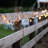 0.5 W C7 E12/Candelabra LED Bulb-86128123