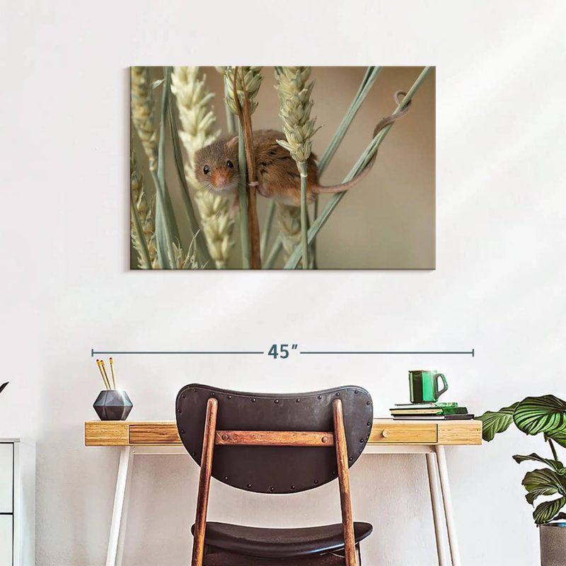 Harvest Mouse On Wheat, 24" H x 36" W