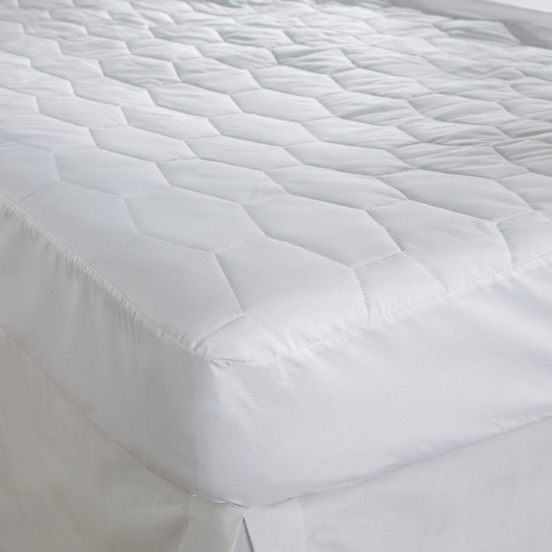 Fitted Mattress Protector Case Pack, Double (4'6)