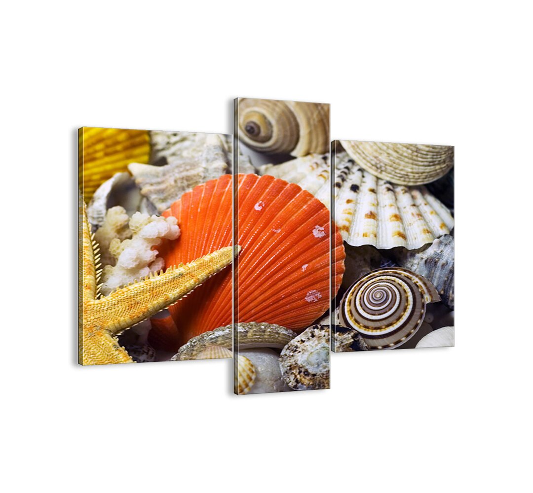 3-tlg. Leinwandbilder-Set - Fotografie â€žOcean Treasuresâ€�