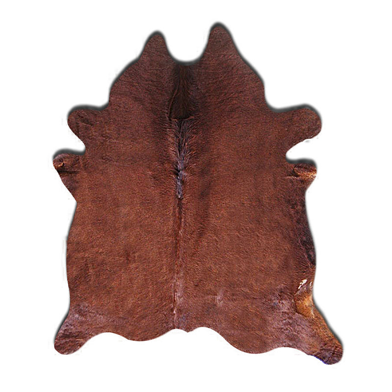Plainsboro Performance Cowhide Animal Print Indoor Rug, 5' x 7'