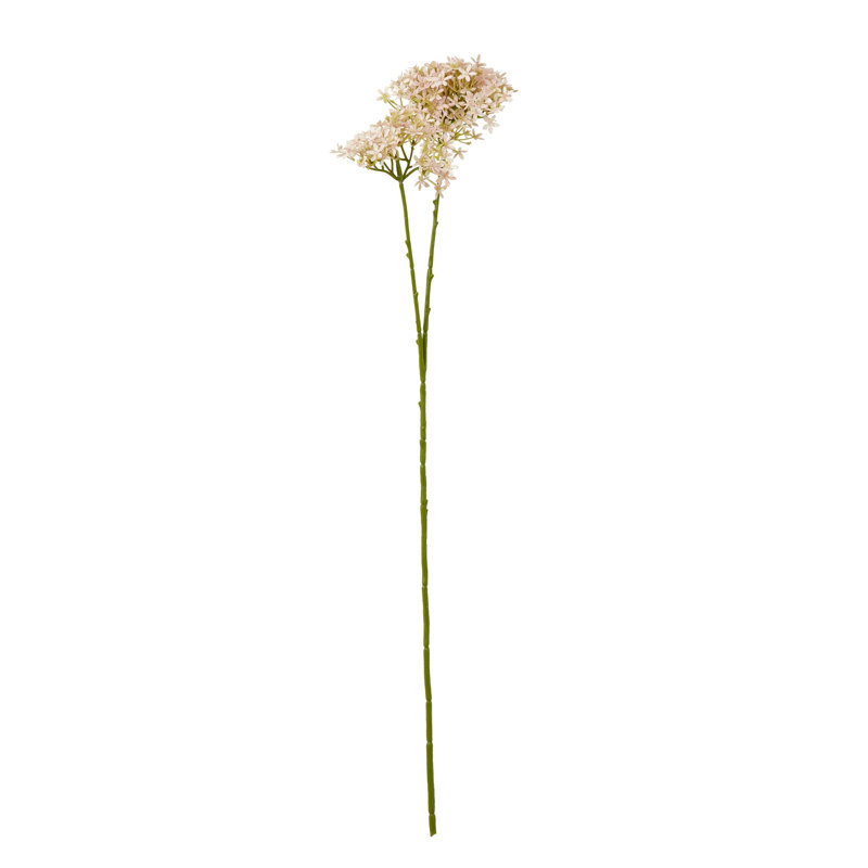 Anastasija Arrangement, Light Pink