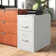 Fortress 15'' Wide 2 -Drawer Steel File Cabinet