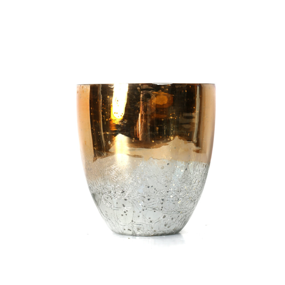 Luxton Silver/Bronze Indoor/Outdoor Glass Table Vase World Menagerie 