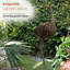 Statue autruche Medon-1450241061