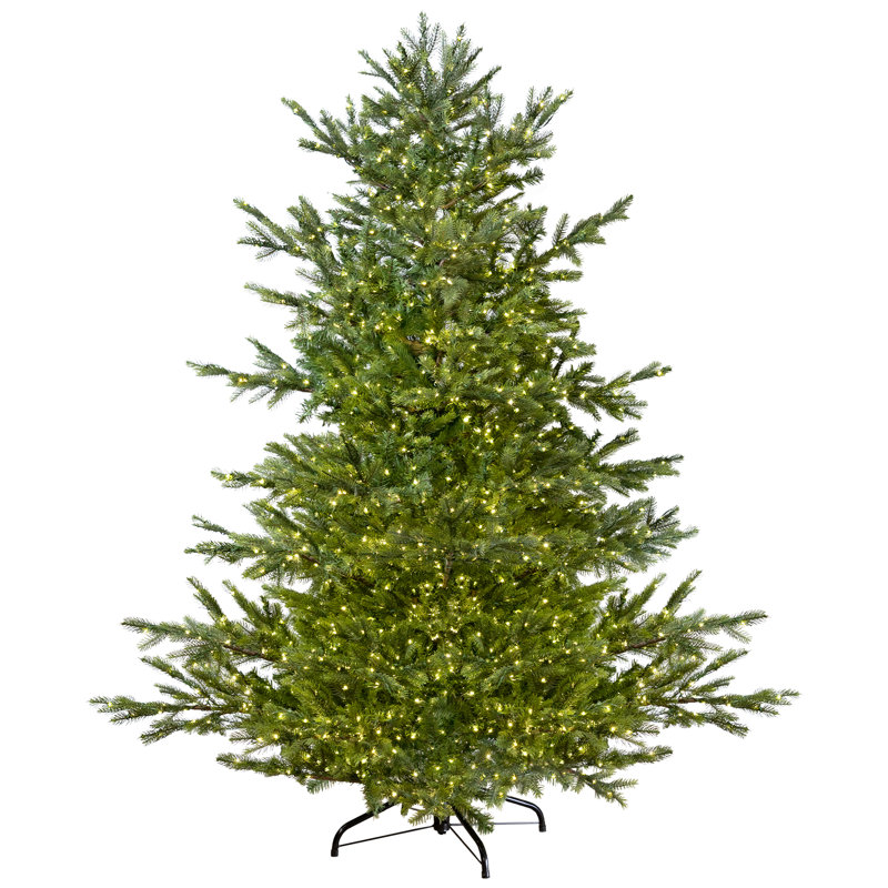 Pre-Lit Full Oregon Noble Fir Artificial Christmas Tree - Warm White LED Lights, 6.5' H