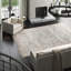 Wool Oriental Area Rug in Gray