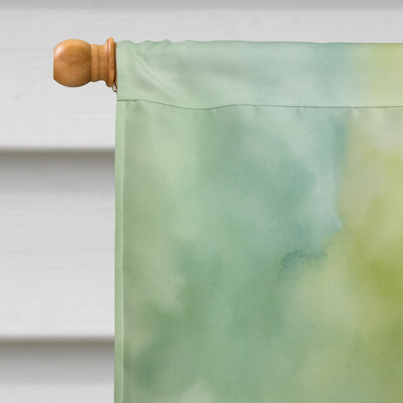 House Flag, Allens Hummingbird