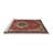 Ceasia Oriental Indoor Rug-1907669935