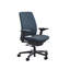 Steelcase Amia Ergonomic Task Chair-323515492-323515498-334359739