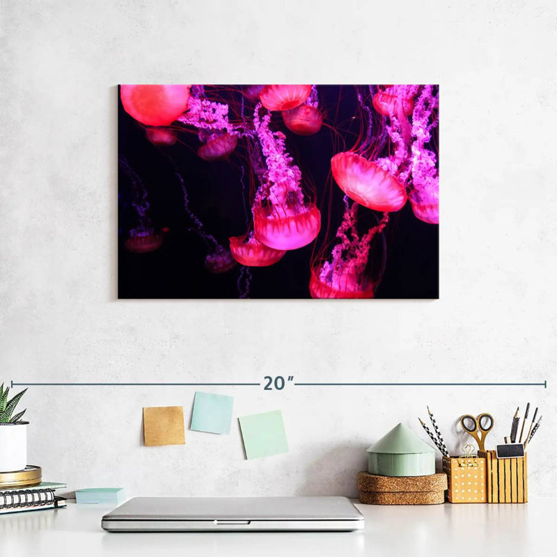 Bright Pink Jellyfish, 8" H x 12" W