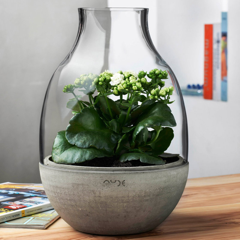 Eden Handmade Glass Planter, 7.75" H x 5" W x 5" D