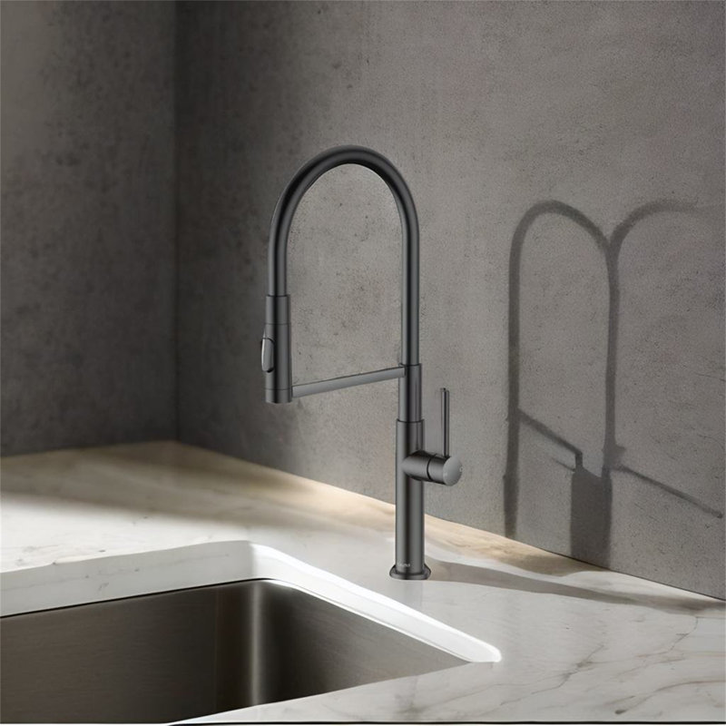 TONWIN Kitchen Faucet, Matte Black