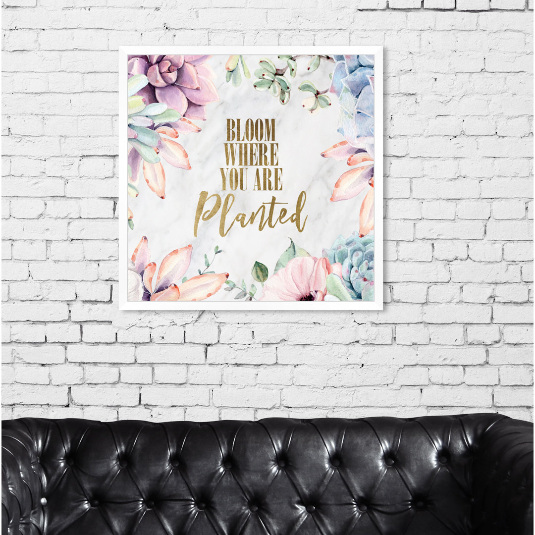 Where You are Planted - Graphic Art Print