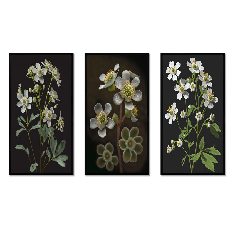 «Blossoming Diphylleia Grayi On Black», 3 pièces, Noir, H 32 po x l 48 po