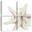 Aletra Water Starfish-109145214
