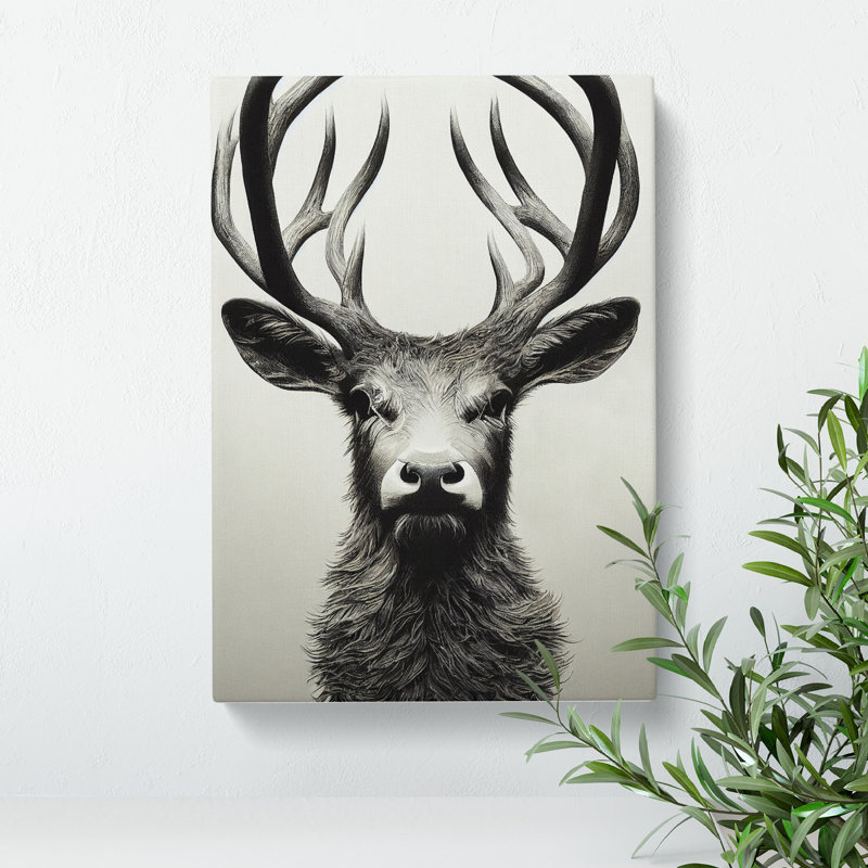 Portrait Of A Wild Stag No.3 - Wrapped Canvas Print, 50cm H x 35cm W x 3cm D