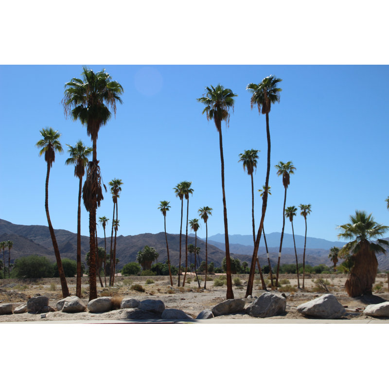 Burchette California Desert - Wrapped Canvas Print, 61cm H x 91cm W x 3.8cm D