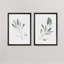 Simple sauge - ensemble de 2 reproductions d'art encadrées-1541205128-1578471020-1578471023