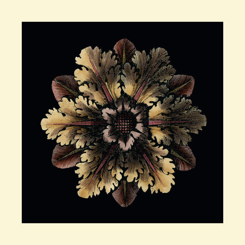 Small Classic Rosette I by Vision Studio - Wrapped Canvas Art Prints, 30cm H x 30cm W x 3.8cm D