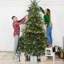 Arbre de Noël 8 pi
