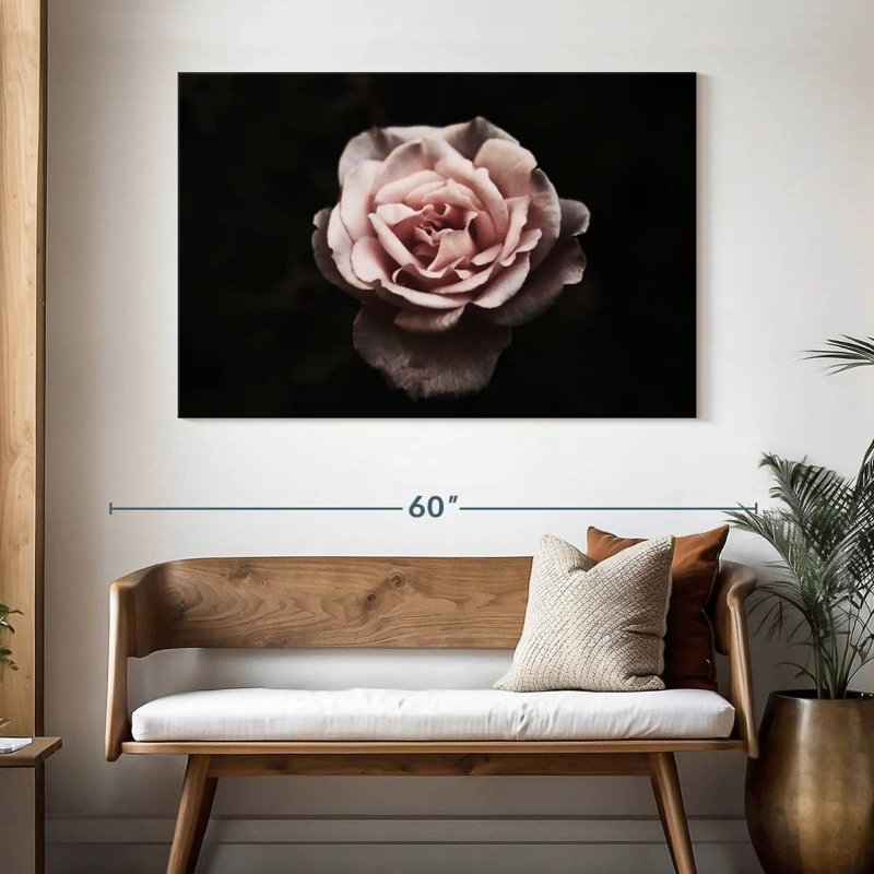 Rose œillet Harnek