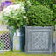 Stone Planter Box-314284908