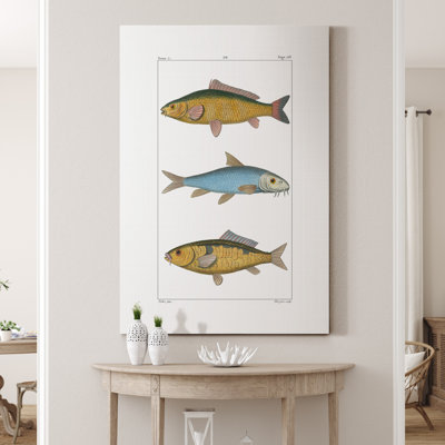" Freshwater Fish II "