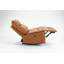 Fauteuil inclinable Zaiyah-600854896
