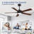 Rolanda 52" 5-inch Downrod Mount Ceiling Fan with Light Kit and Remote Control-1927761624
