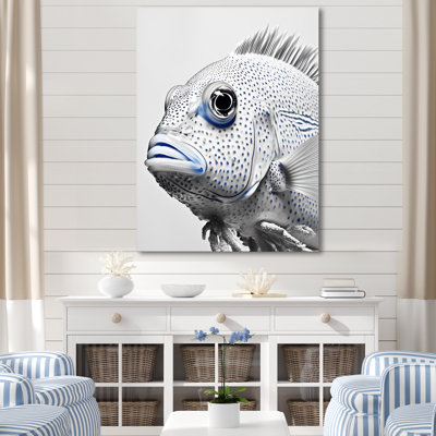 " Cute White And Blue Fish Portrait "