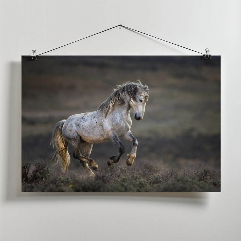 Wrapped Canvas Print, 50.8 cm H x 76.2 cm W