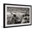 Hairy Face Cattle by Marmont Hill - Painting-662025953-662025955
