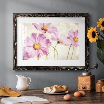«Pink Cosmos I» - reproduction d'un seul cadre photo