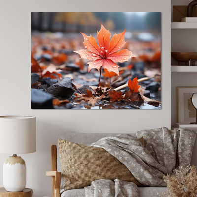 " Coral Flower Autumn Radiance I "
