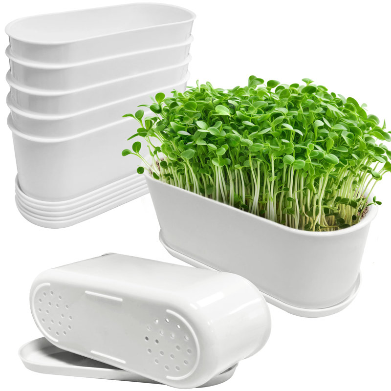 Planter Box