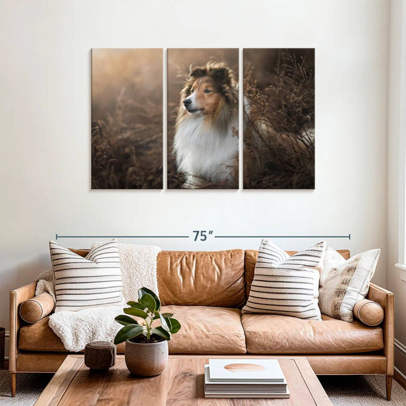 Bramelt, magnifique sheltie, H 36 po x l 57 po