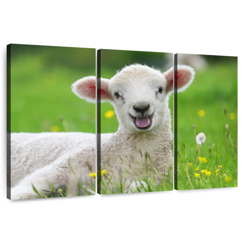 Brampt Funny Lamb, 36" H x 57" W
