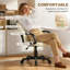 Wayfair Basics™ Office Chair-67202374