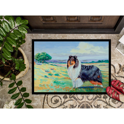 IndoorOutdoor NonSlip Indoor Door Mat