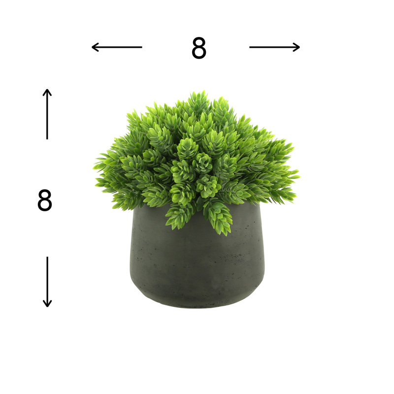 Faux Succulent in Fiberstone Pot, Black