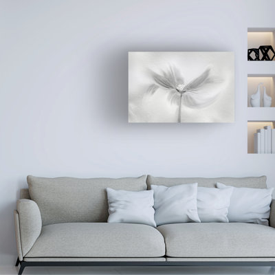 Molly Fu  Dancing Cosmos Canvas Art