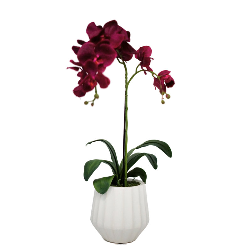 Faux fleurs d'orchidée mauve foncé dans un pot en céramique nervuré blanc effilé