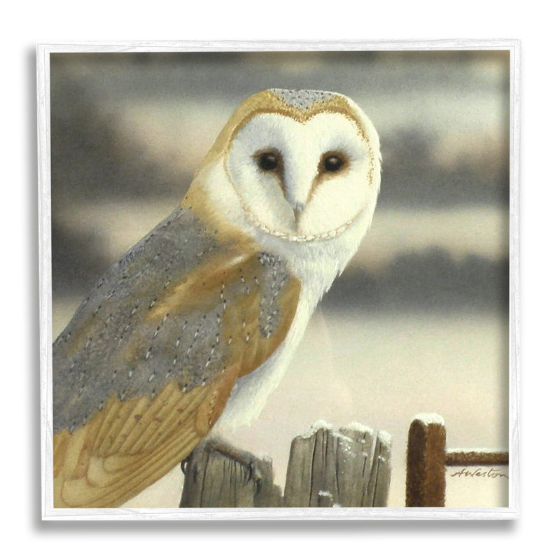 Barn Owl Gazing Perched Niveous Rural Fence by Alan Weston - Floater Frame Painting on Canvas, 24" W x 24" H