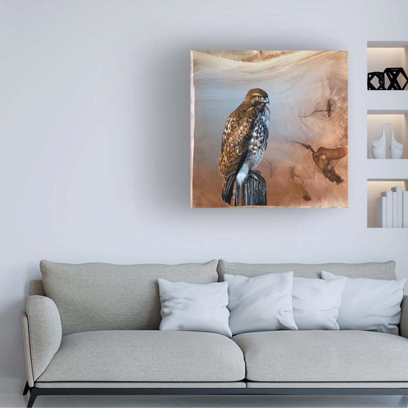 Moderne et contemporain Redtail Hawk sur impression sur toile, L 24 po x H 24 po