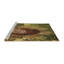 Tapis 100% à motif lavable à la machine 3966-BRN-68559974