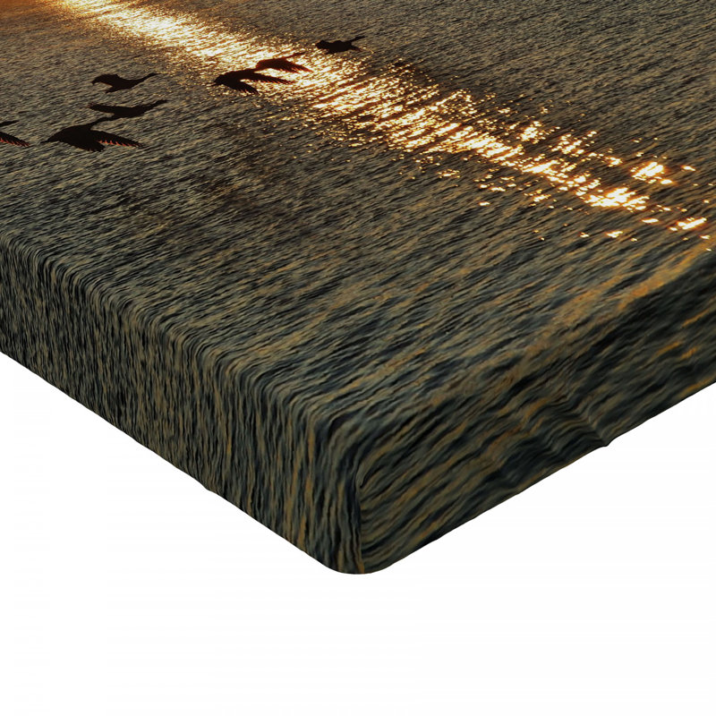 Drap-housse pour oiseaux, Grand